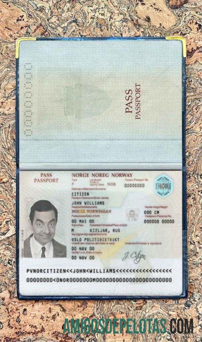 Foto do passaporte da Noruega amostra